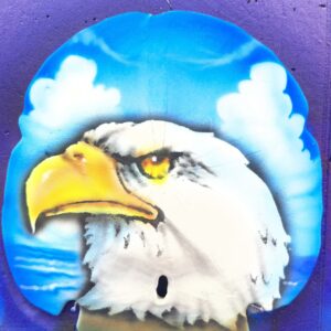 Airbrushed Gulf Coast Sand Dollar