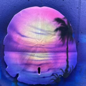 Airbrushed Gulf Coast Sand Dollar