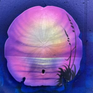 Airbrushed Gulf Coast Sand Dollar